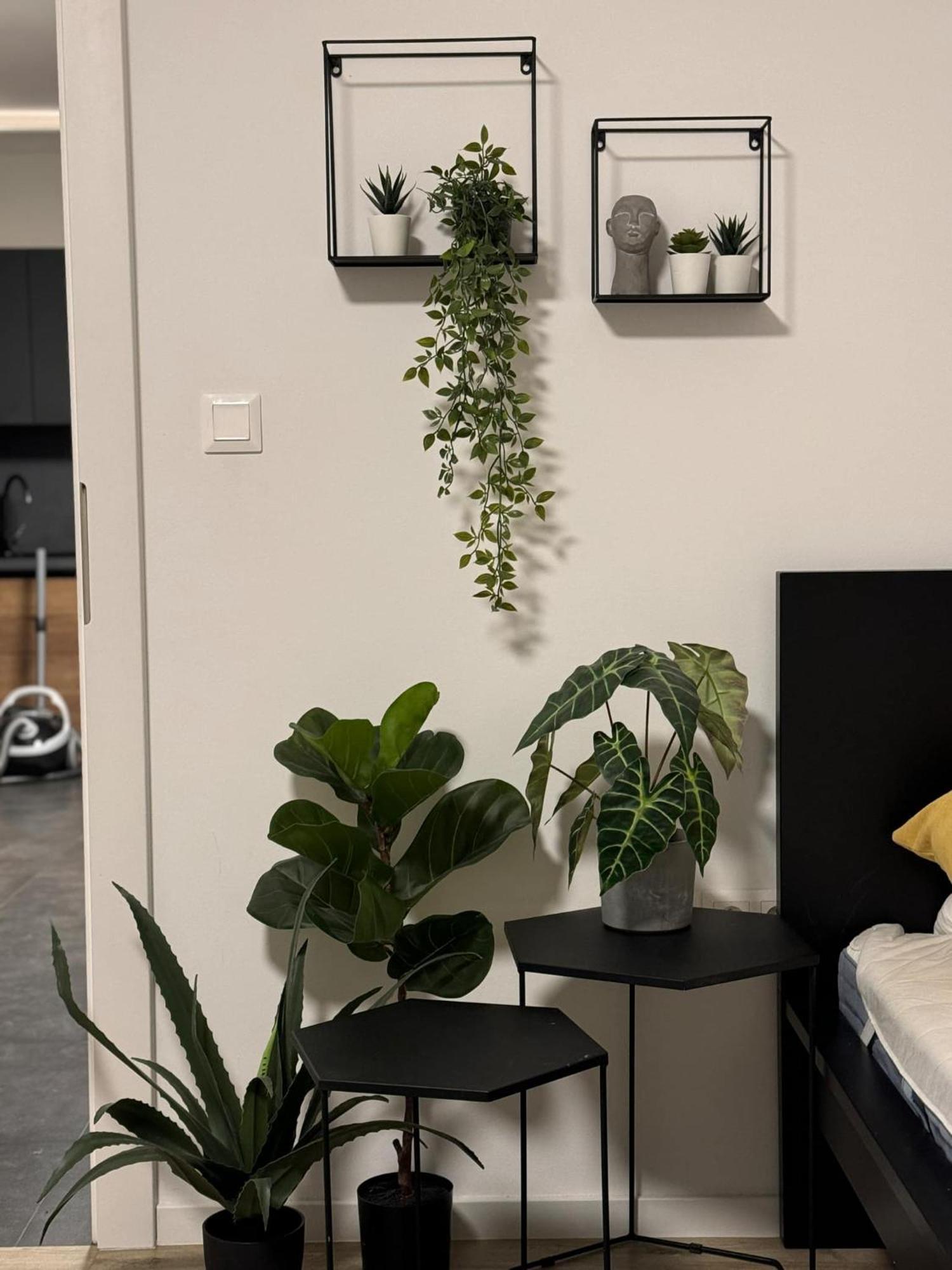 Apartmany Elli Mýto pod Ďumbierom المظهر الخارجي الصورة