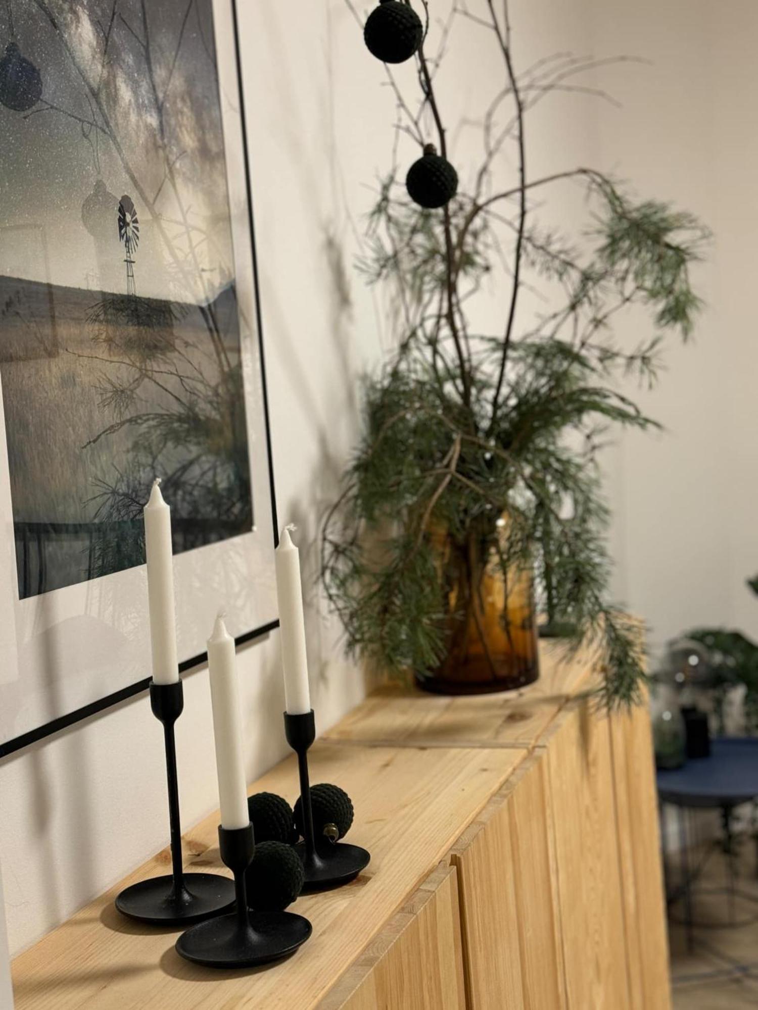 Apartmany Elli Mýto pod Ďumbierom المظهر الخارجي الصورة